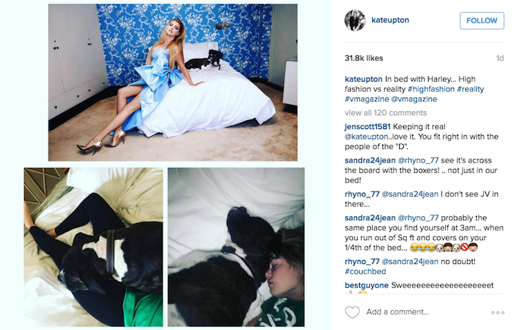 Skrinshot postu Kate na Instagramie - zdjecia z psem