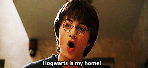 Chłopak w ciemnych okularach, napis "Hogwart is my home"