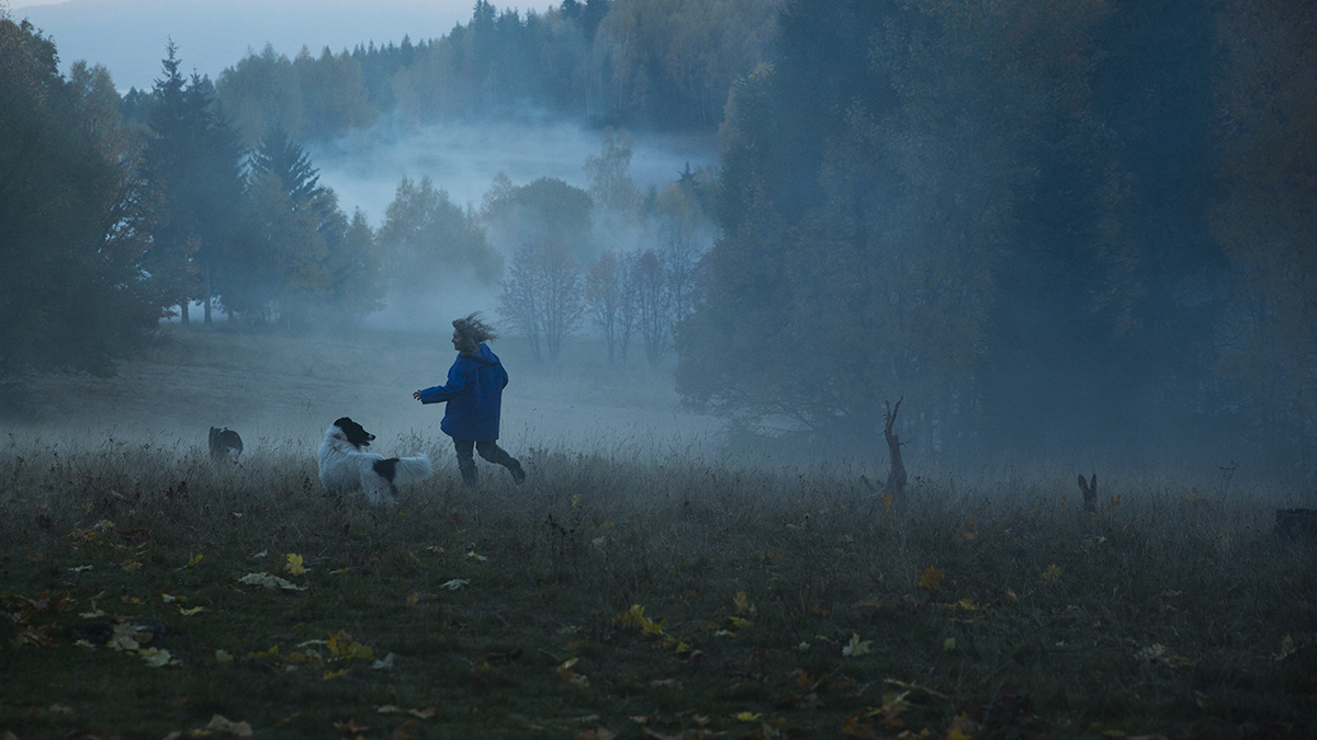 Widok lasu z mgłą, biegnącej dziewczyny i dwóch psów