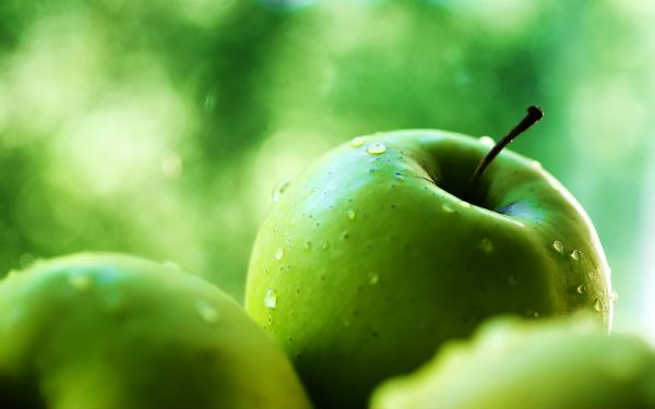 fruits green apples apples 1440x900 wallpaper_www