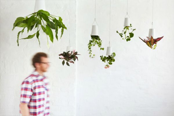 http://www.boskke.com/products/skyplanter/gallery/