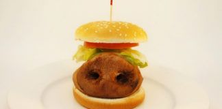 Hamburger z nosem świni w środku