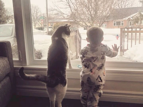 kids-and-cats-7__605