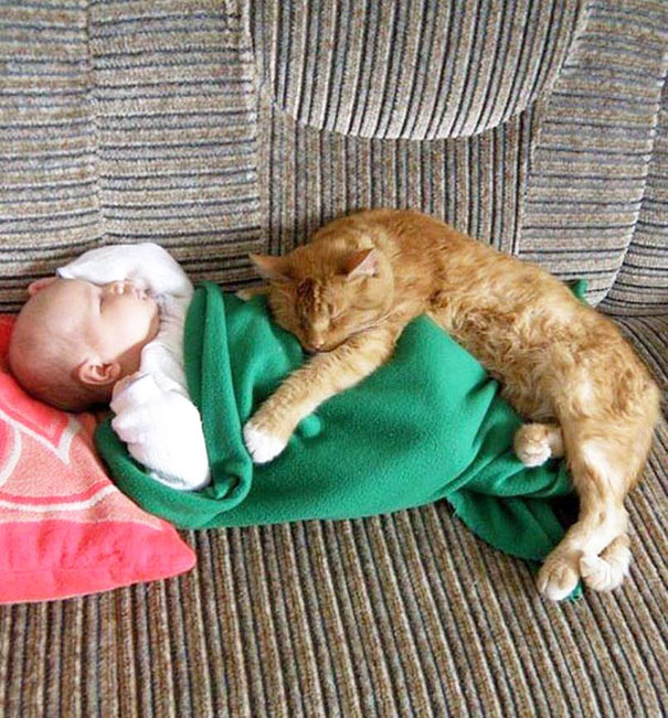 kids-with-cats-17__605