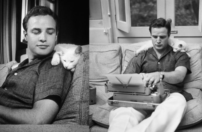 Mężczyzna siedzący na kanapie z kotem na ramieniu