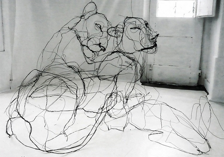 sketchbook-3d-wire-animal-sculpture-david-oliveira-18