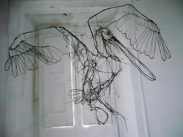 sketchbook-3d-wire-animal-sculpture-david-oliveira-12