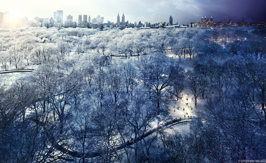 Central Park zimą, Nowy Jork