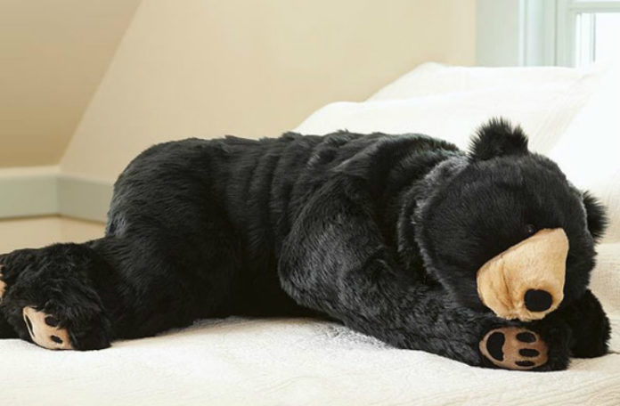 Czlowiek ubrany w śpiwór, który wygląda jak niedźwiedź