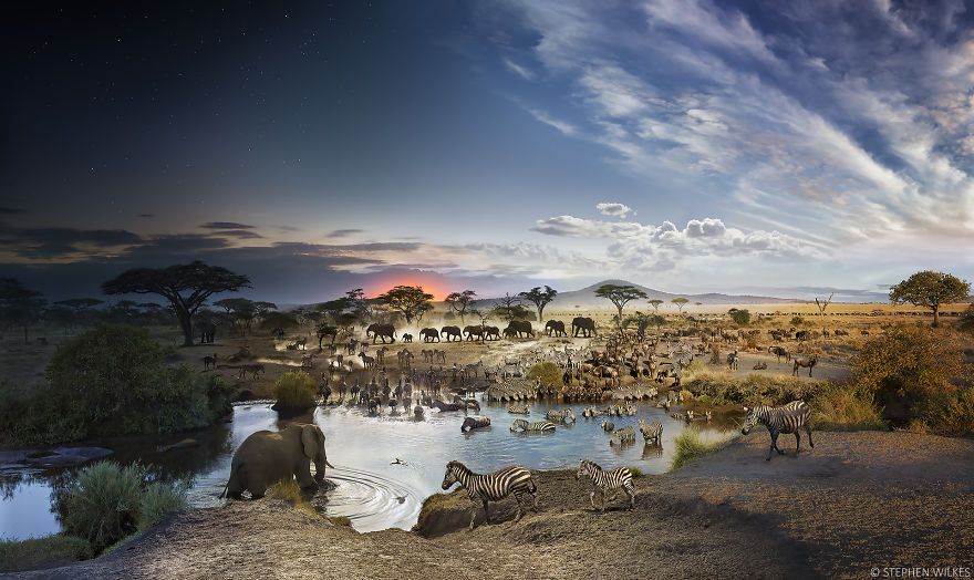 Park Narodowy Serengeti, Tanzania