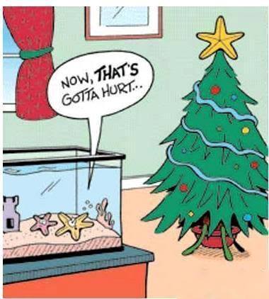 Funny-christmas-star-cartoon