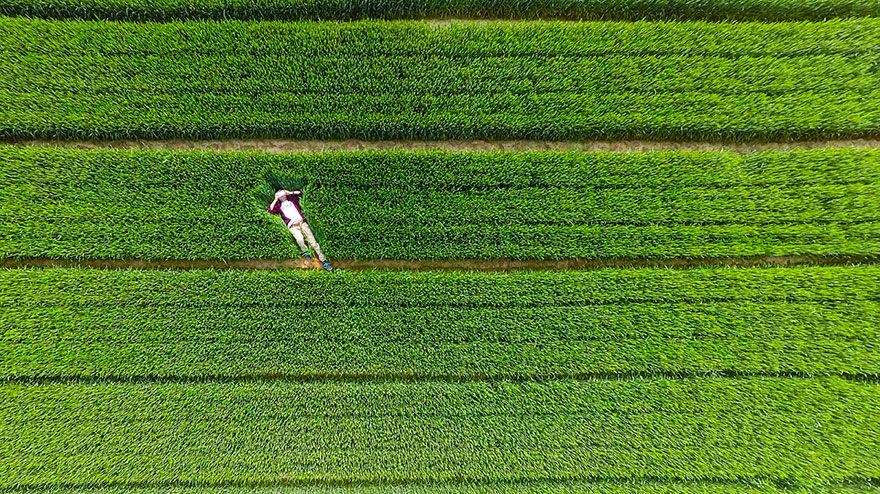 opalanie w trawie najlepsze zdjęcia z dronów Magazyn HIRO