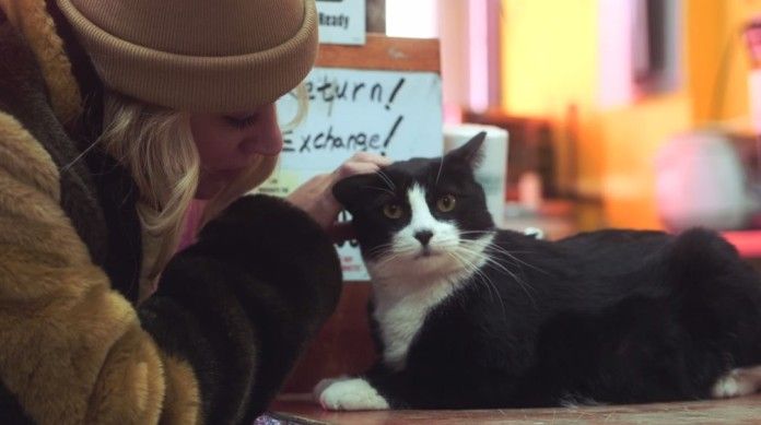 blondynka w brązowej czapce głaszcząca czarnego kota