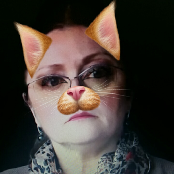 Krystyna Pawłowicz, filtr ze snapchata, kot 