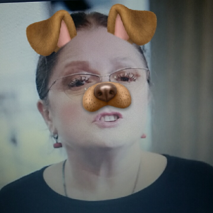 Krystyna Pawłowicz, filtr snapchat, pies