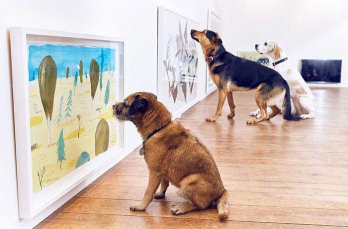 Psy patrzą na obrazy w galerii sztuki