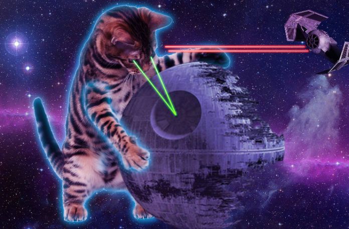 Kot strzelający z oczu laserami w kosmosie