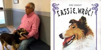 Zdjęcie psa ze swoim właścicielem, a obok okładka książki Lassie Wróć