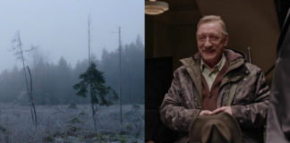 Dwa zdjęcia: wyciętego lasu oraz siwego mężczyzny ubranego w kurtkę