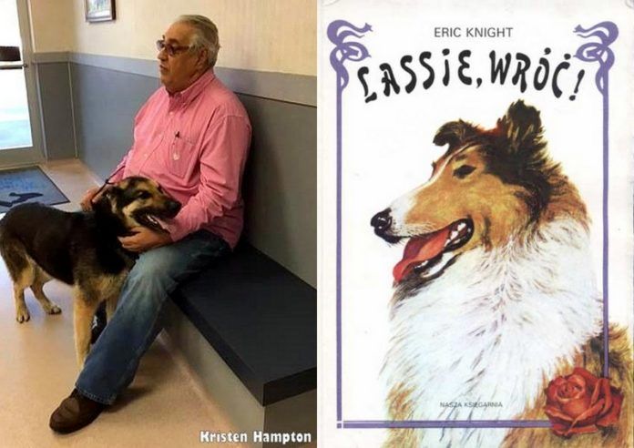 Zdjęcie psa ze swoim właścicielem, a obok okładka książki Lassie Wróć