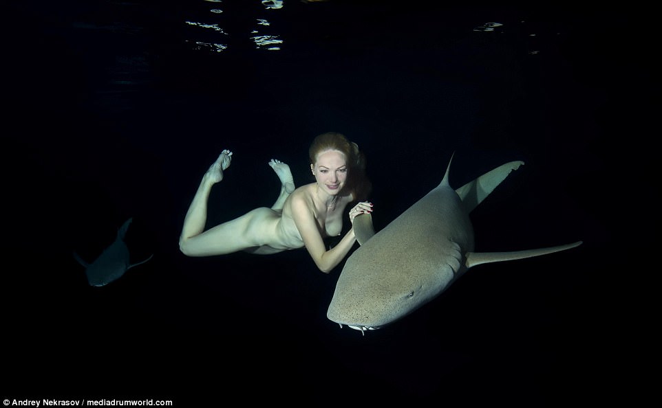 Biała, naga kobieta pływa pod wodą obok drapieżnej ryby trzymając się jej płetwy