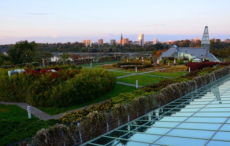 Na zdjęciu widzimy ogród na dachu Biblioteki Uniwersytetu Warszawskiego, a w oddali panoramę Warszawy.