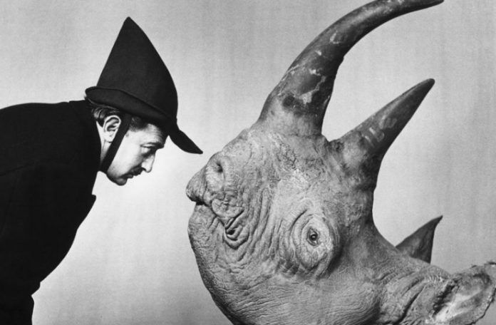 Czarno-białe zdjęcie przedstawiające Salvadora Dalego z profilu z głową nosorożca