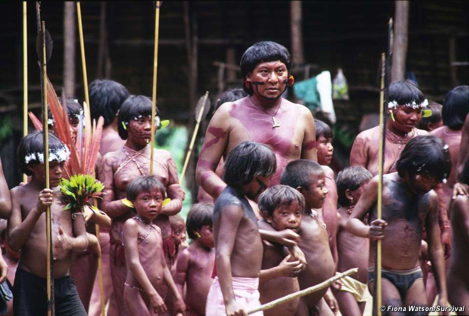 Fotografia plemienia Yanomami, które zamieszkuje Brazylie i Wenezuelę. Na zdjęciu widać grupkę kilkumastu chłopców i jednego dorosłego. Widoczne są umalowania na skórze oraz liczny piercing. Wszyscy trzymają bambusowe kijki.
