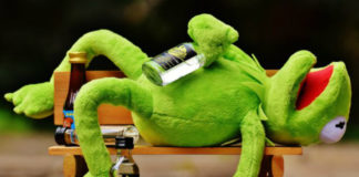 Zaba kermit leży na ławce trzymając w dłoni butelkę alkoholu, a wokół niego porozrzucane są kolejne butelki alkoholu