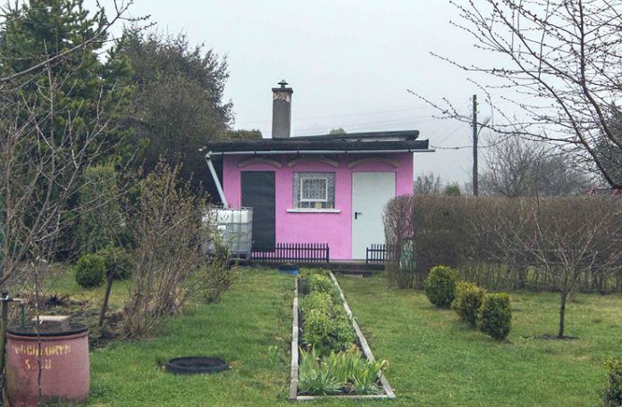 Różowy domek stojący pośrodku działki
