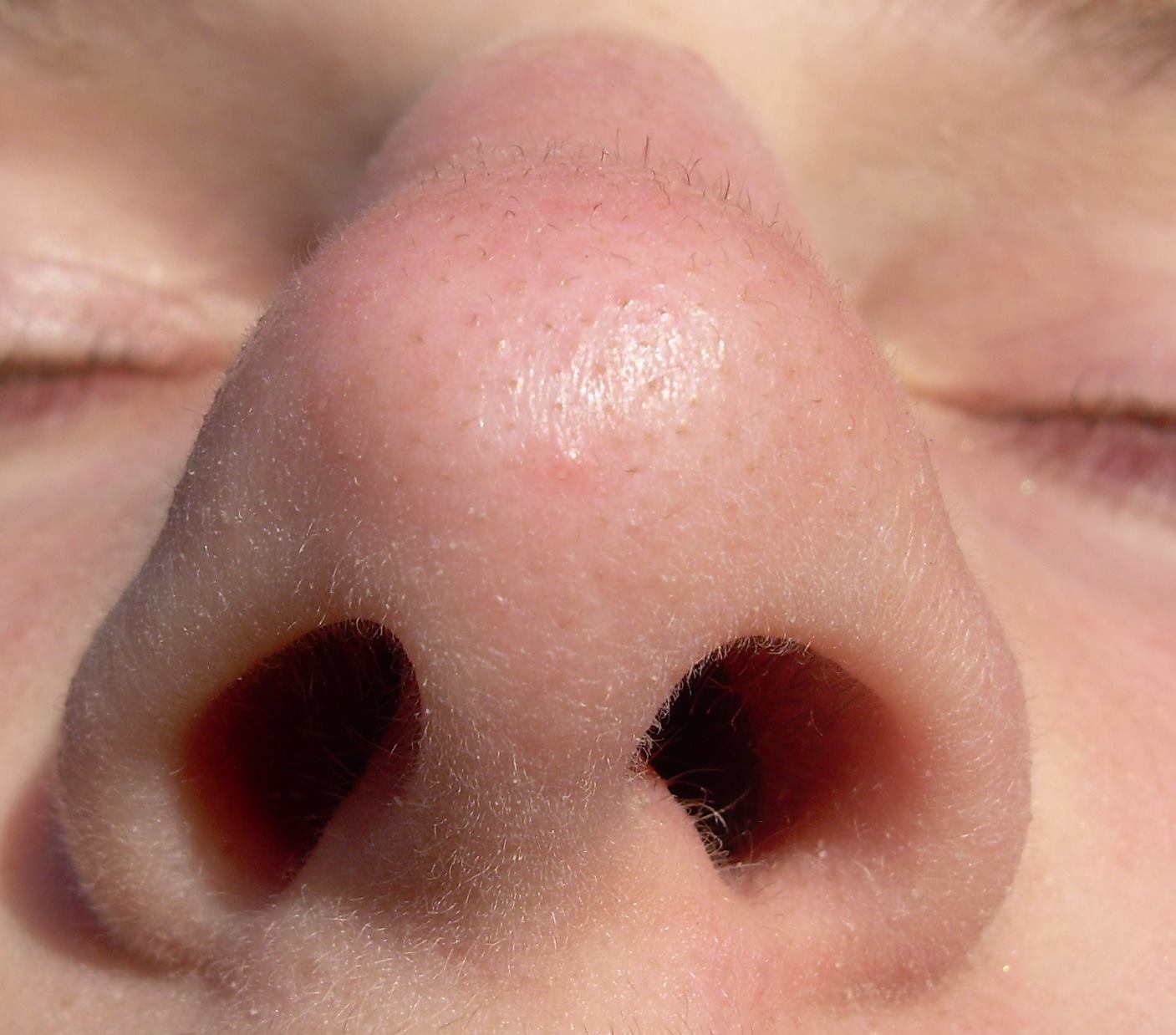 Mocne zbliżenie twarzy na któym widać dziurki od nosa i fragment zamkniętych oczu