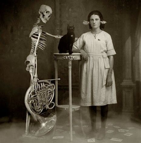 Zakład doktorski. Kościotrup trzyma trąbę i głaszcze czarnego kota. Przy nim stoi młoda dziewczyna.