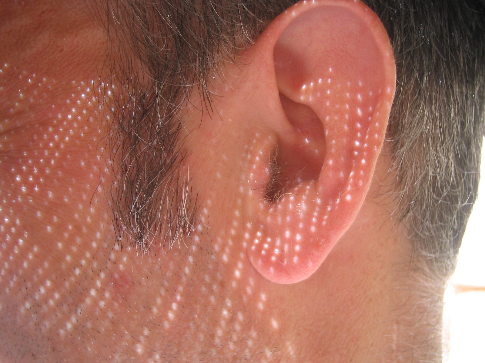 Zbliżenie męskiego ucha, widać też fragment włosów