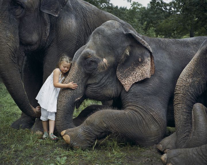 dziewczynka przytulająca słonia jak rodzeństwo