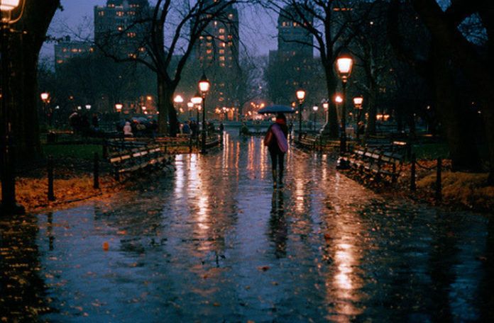 Ulica w parku zalana deszczem