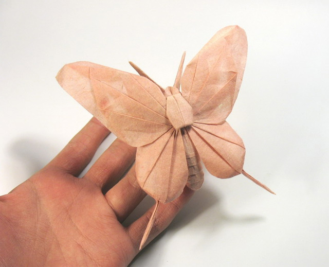 motyl - origami