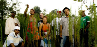 Grupa czarnoskórych ludzi stojąca na tle wysokiej trawy
