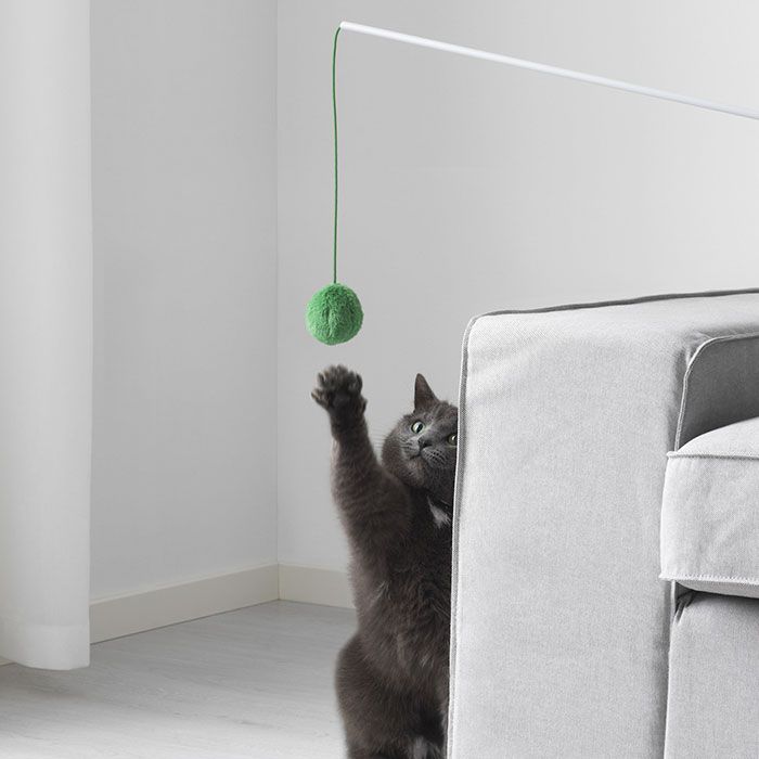 Kot bawiący się zieloną kulką na sznurku