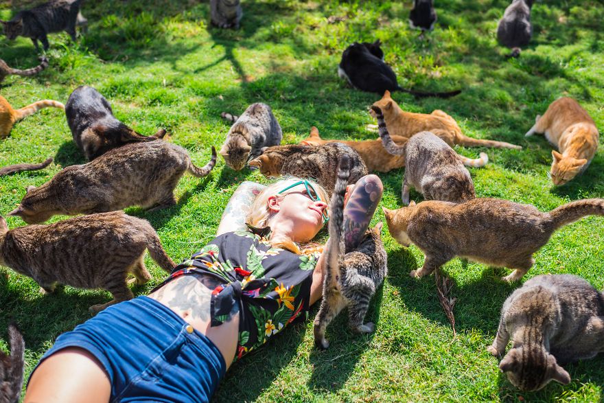 Dziewczyna leżąca wśród gromadki kotów