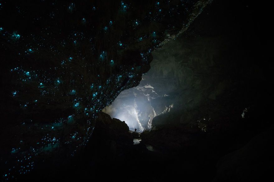 Jaskinia ze świecącycmi robakami