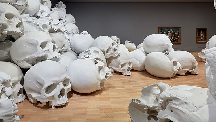 Kilkanaście czaszek ujętych na wystawie w National Gallery w Victorii. Widać podłogę i sufit galerii.