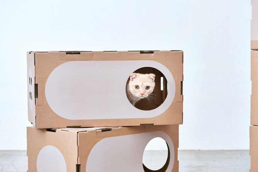 Boxes of cardboard are transformed into cat cabins and the result is lovely 5a8d2fc46695a 880 Najpiękniejszy prezent dla Twojego kota: modułowy labirynt z kartonów