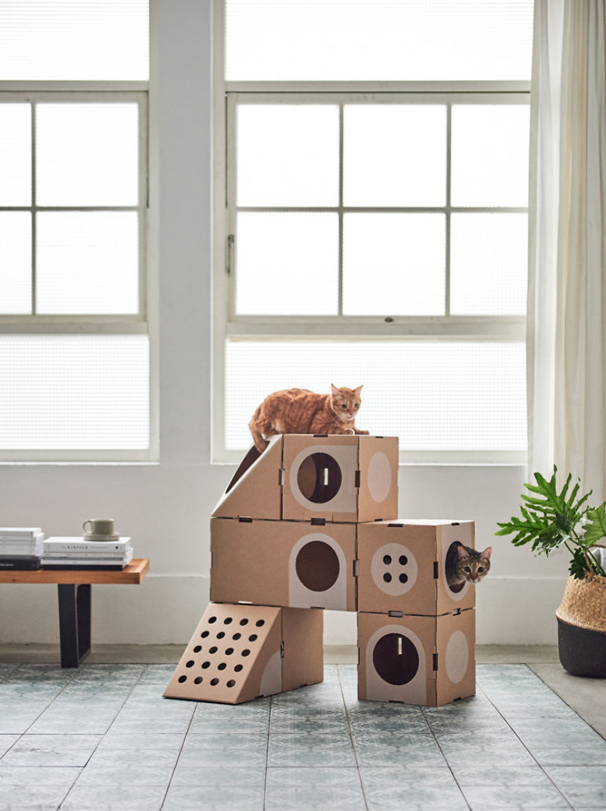 Boxes of cardboard are transformed into cat cabins and the result is lovely 5a8d65304f0e8 880 Najpiękniejszy prezent dla Twojego kota: modułowy labirynt z kartonów