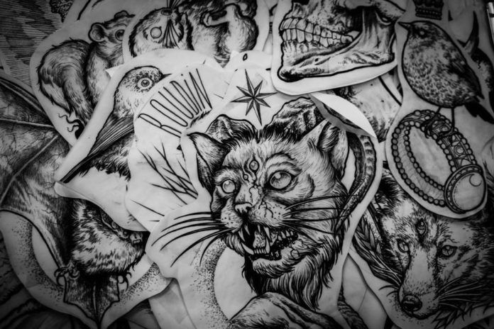 Zdjęcie przedstawia szkice tatuaży z twrzą kota