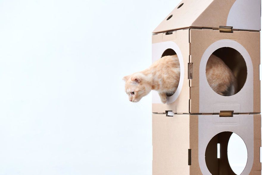 Boxes of cardboard are transformed into cat cabins and the result is lovely 5a8d6809ddd5e 880 Najpiękniejszy prezent dla Twojego kota: modułowy labirynt z kartonów