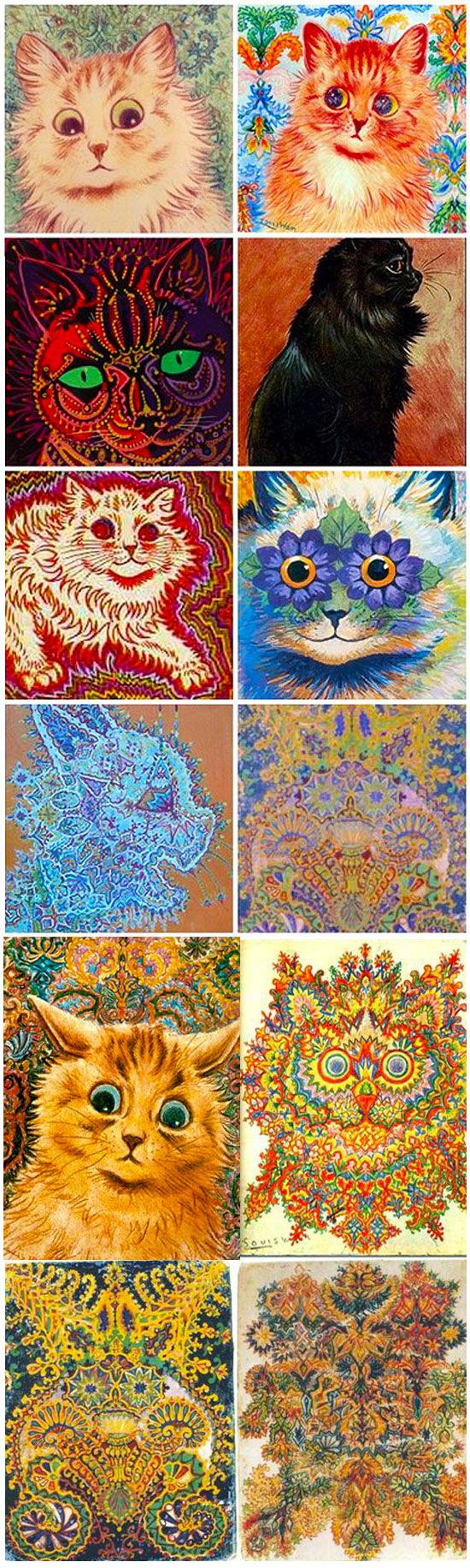 kolorowe psychodeliczne portrety kotow
