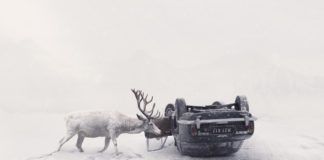 Ośnieżony jeleń obok samochodu stojącego na dachu w śnieżnym krajobrazie.