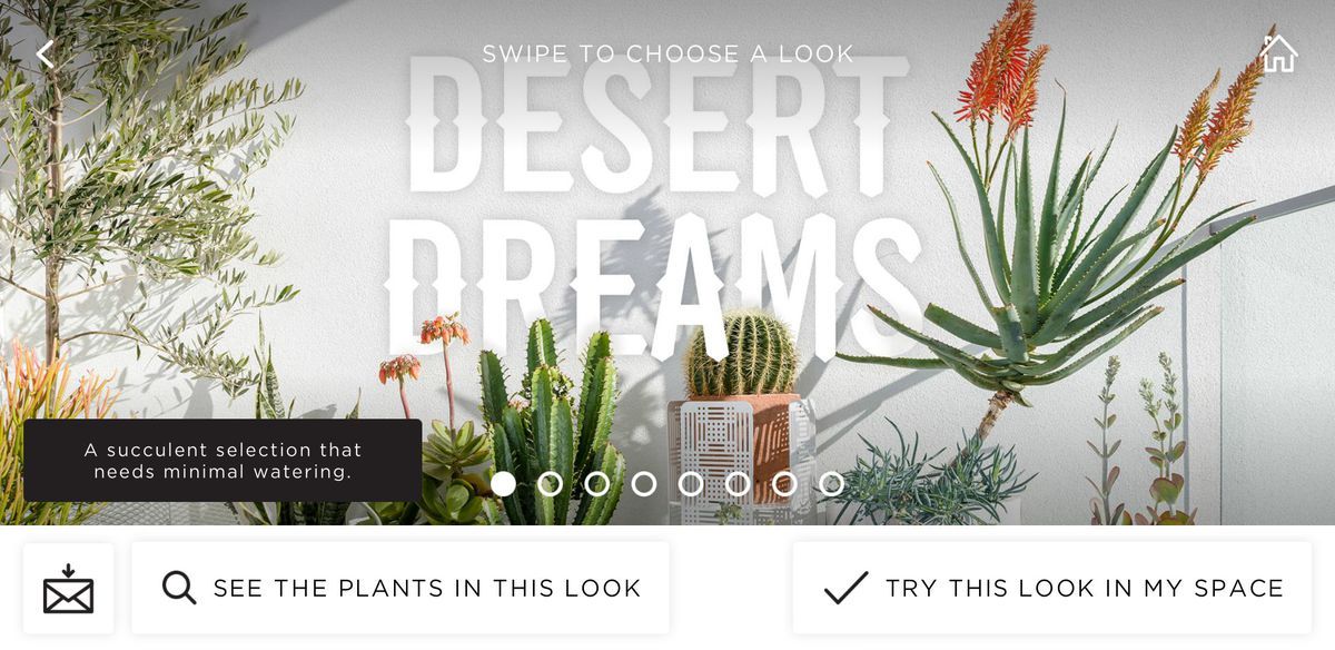 Zdjęcie ekranu aplikacji. Napis Desert Dreams i rośline zielone na tle białej ściany.