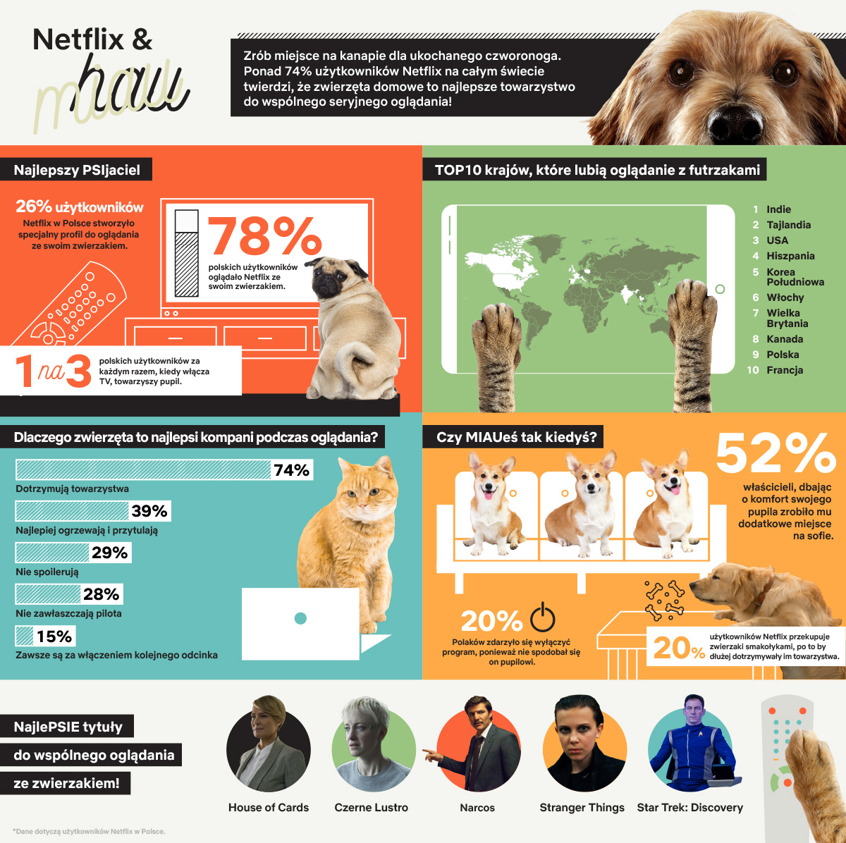 Netflix hau czy Netflix miau infografika Badania pokazały, że wolimy oglądać Netflix ze zwierzętami niż z ludźmi