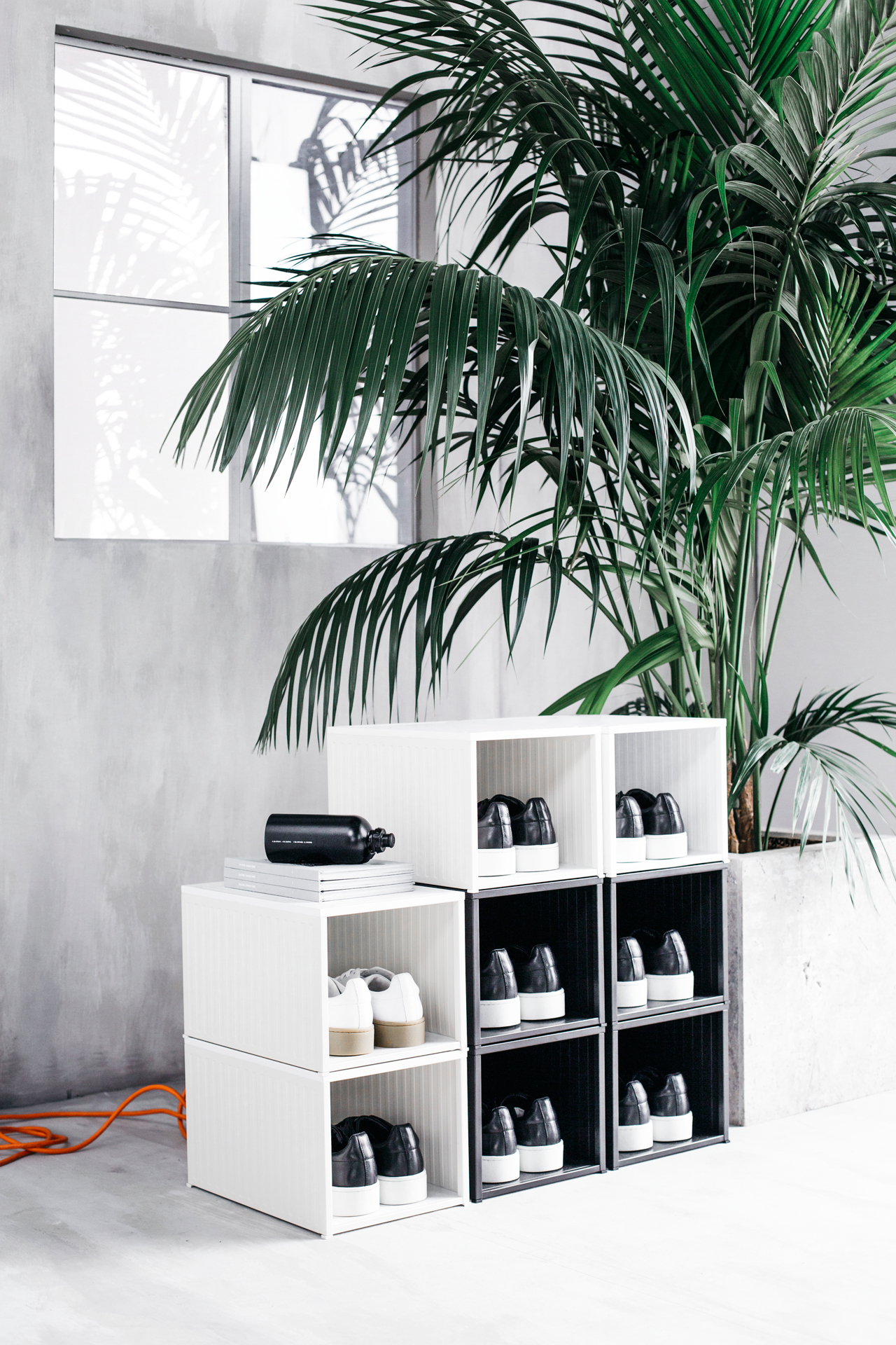 Białe modułowe półki na buty w minimalistycznym betonowym wnętrzu, obok palma.